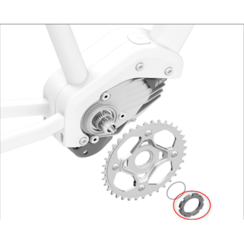 Lockring-Tool mit Haltefeder (Snap.in) (BDU4XX)