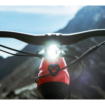 MINI 2 MonkeyLink-Version