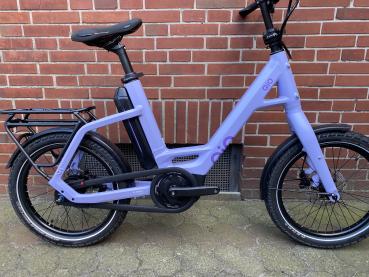 EINS AP-8 Unisex sweet lavender matt NEU