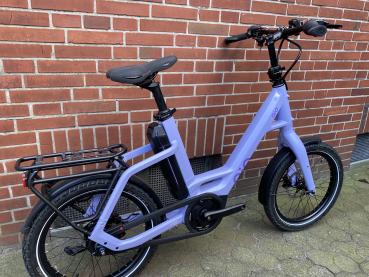 EINS AP-8 Unisex sweet lavender matt NEU