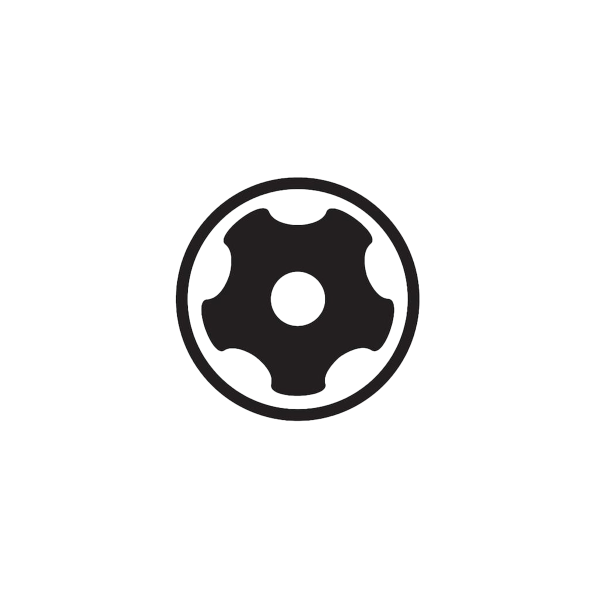 TORX PLUS® Security 25IPR Bit 1/4"