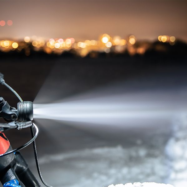 MINI 2 PRO MonkeyLink-Version