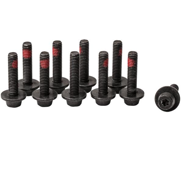 Zentrale Befestigungsschraube EASY MOUNT Adapter, M6, T25