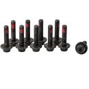 Zentrale Befestigungsschraube EASY MOUNT Adapter, M6, T25